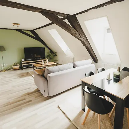 Appartement Le Bretzel Mulhouse