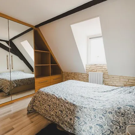 Le Bretzel Mulhouse Appartement *